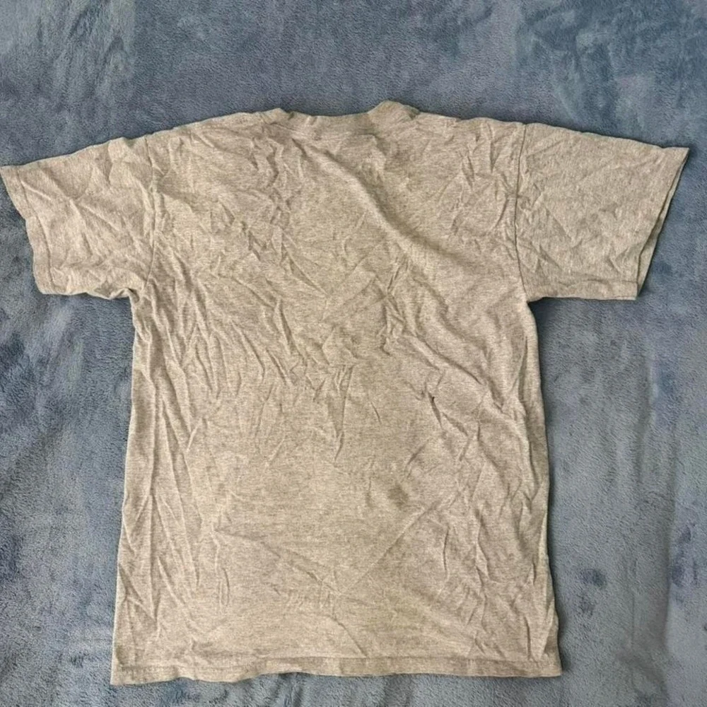 Lee Sport vintage‎ grey Fenway Park graphic tee men Size M